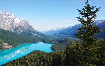 PVT Canada – Démarches à faire à l’arrivée