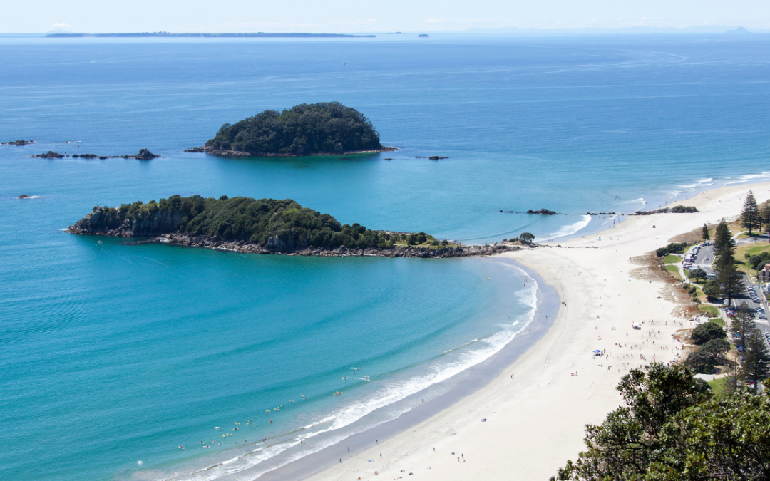 PVT Nouvelle-Zélande – Démarches à faire à l’arrivée